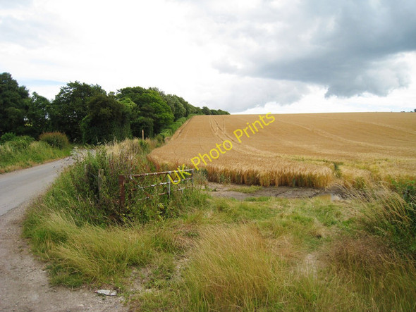 Photo 6"x4" Wheat Field off Nethersole Road Woolage Green c2010