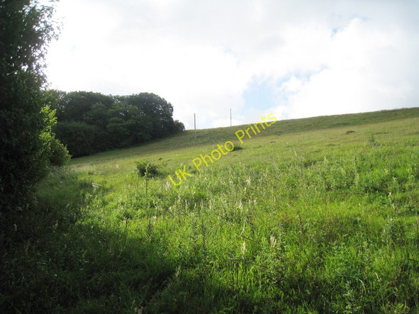 Photo 6"x4" Field off Hogbrook Hill Lane Alkham c2010