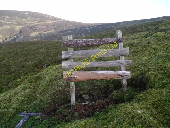 Photo 6"x4" Grouse Butt, Dun Rig Broom Hill\/NT2432 c2005