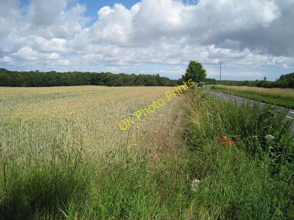 Photo 6"x4" Wheat Field at Hangman's Carvett Ashley\/TR3048 c2010