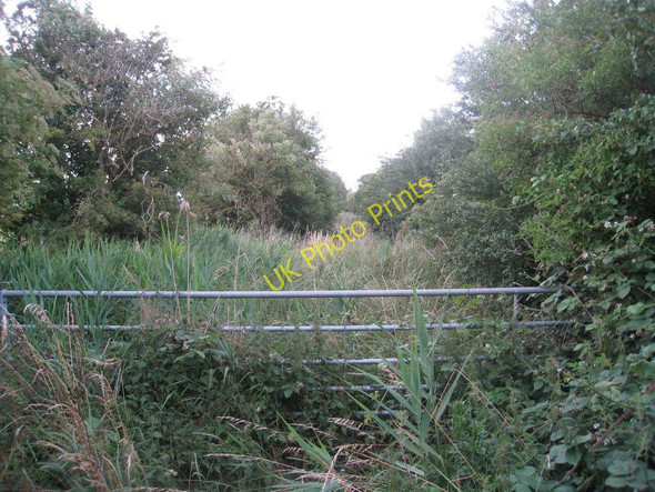 Photo 6"x4" The course of the North Lindsey Light Railway looking north West Halton c2010