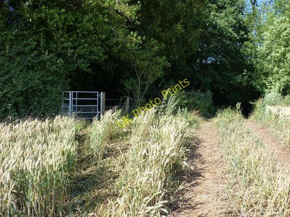Photo 6"x4" A gateway into the gloom Ackleton c2010