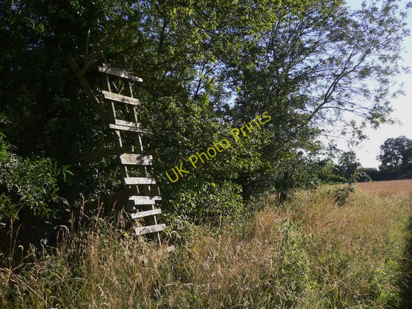 Photo 6"x4" Hide in field near Hartley Wespall Chandlers Green c2010