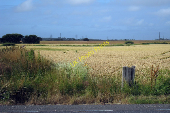Photo 6"x4" Wheat Field off A259 New Romney c2010
