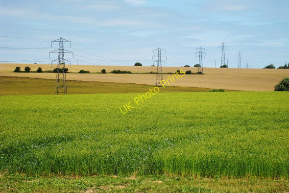 Photo 6"x4" Crop Fields and Pylons Knowlton\/TR2853 c2010