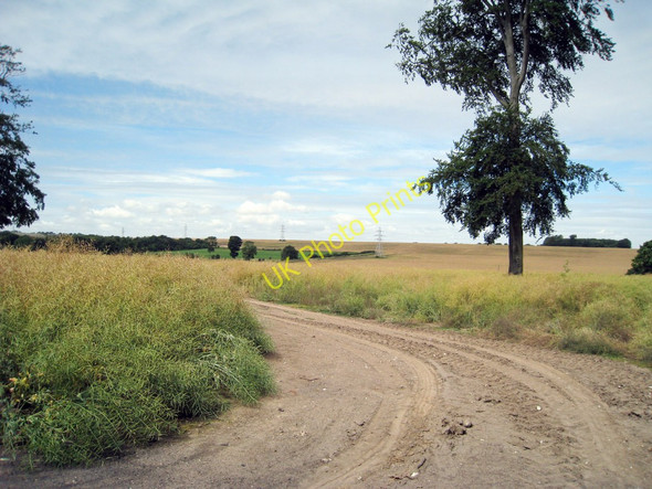 Photo 6"x4" Cropland at Beeches Farm Tilmanstone c2010