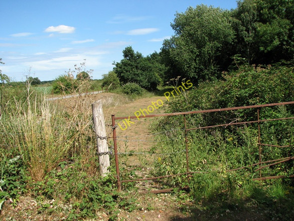 Photo 6"x4" Dismantled trackbed on the Waveney Valley Line Ellingham\/TM3692 c2010