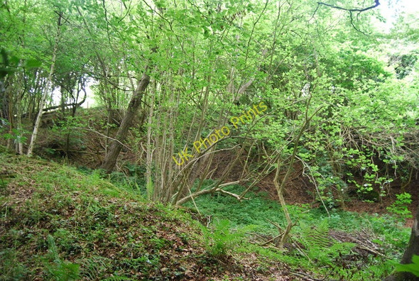 Photo 6"x4" An overgrown quarry off Carter's Hill Underriver c2010