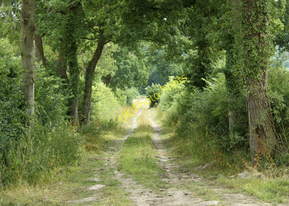 Photo 6"x4" 2010 : Farm track seen from Crookwood Lane Potterne Wick c2010