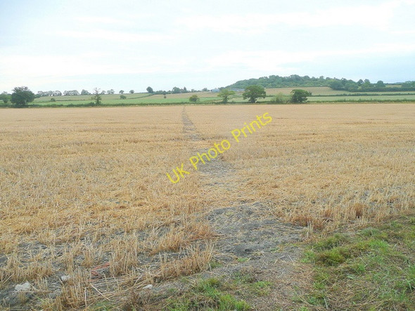 Photo 6"x4" Footpath through stubble Gadfield Elm c2010