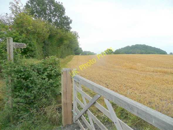 Photo 6"x4" Field-edge footpath Bridge End\/SO8031 c2010