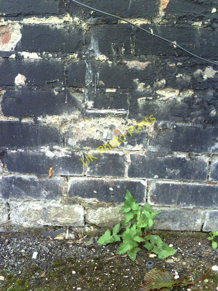 Photo 6"x4" Damaged benchmark at #16 Alexander Road Nottingham\/SK5641 c2010