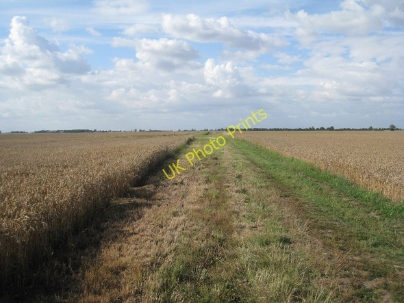 Photo 6"x4" Track to Poplar Farm Keadby c2010