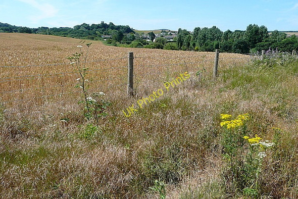 Photo 6"x4" Farmland near Godshill Godshill\/SZ5281 c2010