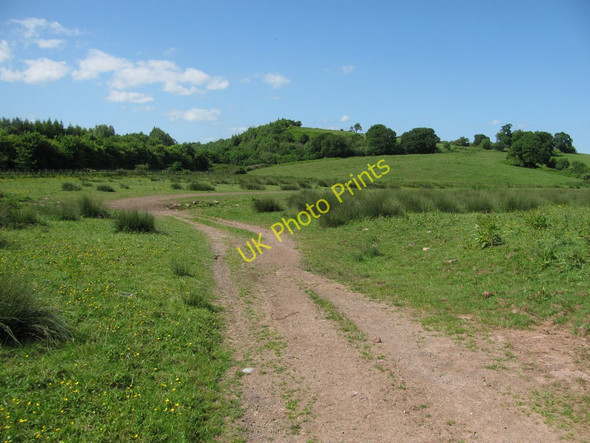 Photo 6"x4" Start of the Lodge Hill Walk Caerleon or Caerllion c2010
