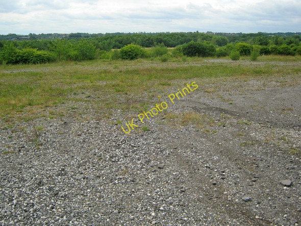 Photo 6"x4" Wasteland in Shipley Country Park Ilkeston c2010