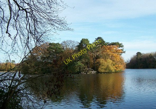 Photo 6"x4" Hartsholme Park Lake Island Birchwood\/SK9369 c2008