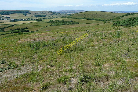 Photo 6"x4" From Shanklin Down Ventnor c2010