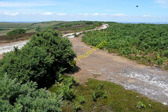 Photo 6"x4" Luccombe Down Ventnor c2010