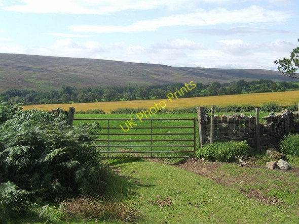 Photo 6"x4" View towards the railway Commondale c2010