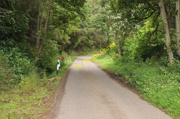Photo 6"x4" Road to Farness Jemimaville c2010