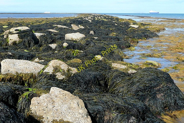 Photo 6"x4" Long Ledge Foreland Fields c2010