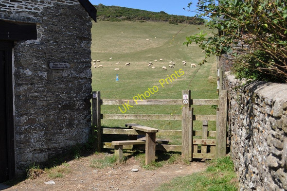 Photo 6"x4" A footpath from Moor Lane to Baggy Point via Middleborough Hill Croyde Bay\/SS4339 c2010