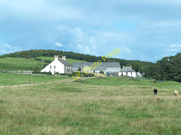 Photo 6"x4" Upper Senwick Farm, Borgue. Ross\/NX6444 c2010