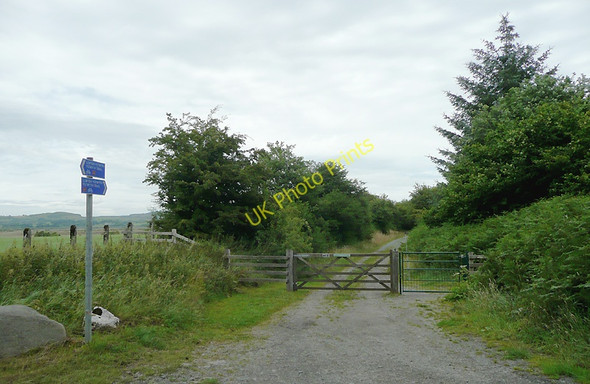 Photo 6"x4" Dismantled railway near Tregaron, Ceredigion Tregaron c2010