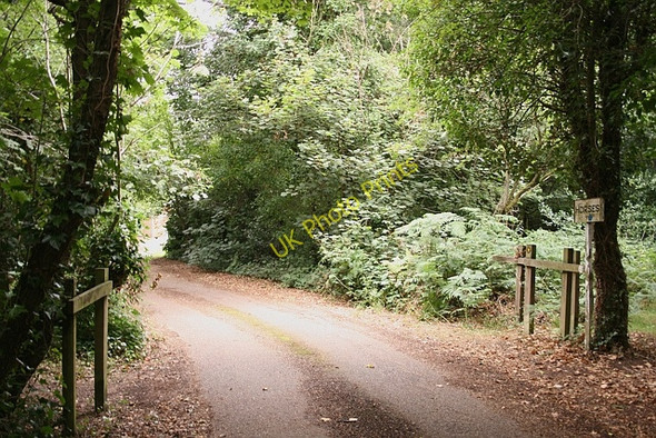 Photo 6"x4" Walton Heath: horse ride and footpath Walton on the Hill c2010