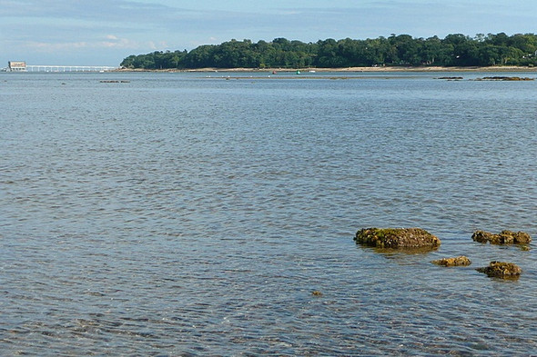 Photo 6"x4" Across Bembridge Bay St Helens\/SZ6289 c2010
