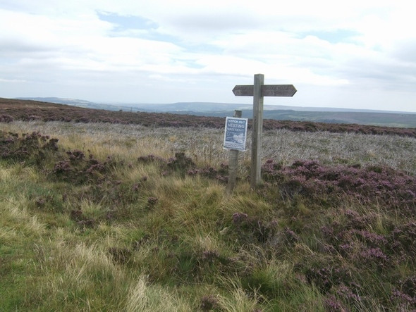 Photo 6"x4" Signpost on the Coast to Coast Street\/NZ7304 c2010