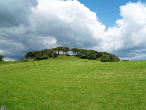 Photo 6"x4" Loch Hill, Overlaw, Parish of Rerrick Dundrennan c2010