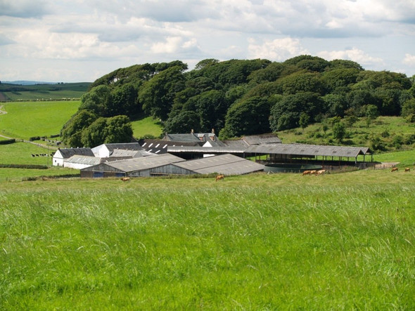 Photo 6"x4" Overlaw Farm, Parish of Rerrick. Dundrennan c2010