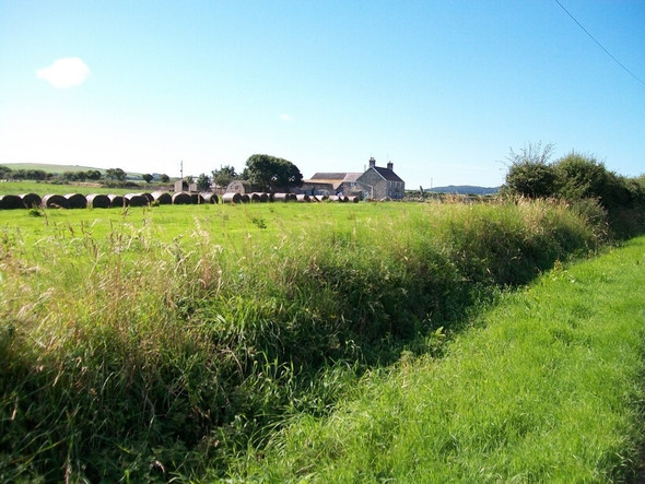 Photo 6"x4" Hay bales at Hendre Ganol Dinas\/SH2636 c2010
