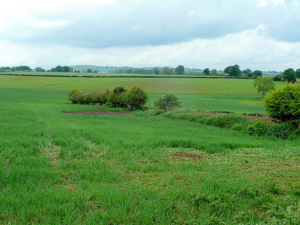 Photo 6"x4" View towards Garway Hill Garway c2010