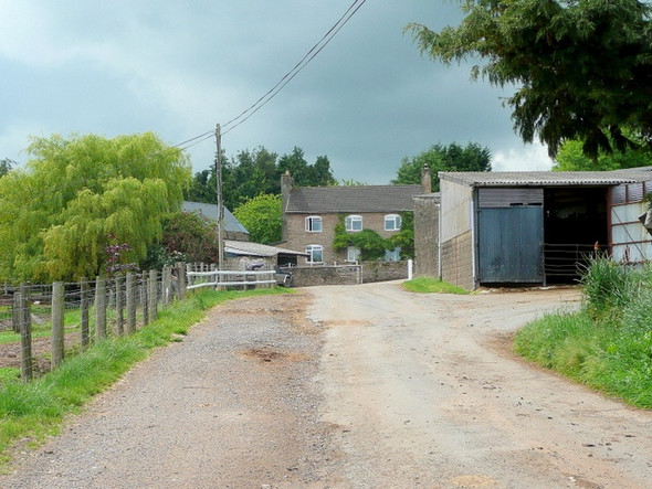 Photo 6"x4" Approaching Northgate Farm Garway c2010