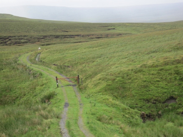 Photo 6"x4" Footpath and Track towards Cow Green Reservoir Yad Moss\/NY7835 c2010