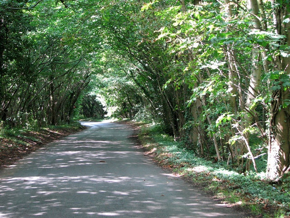Photo 6"x4" View west along St Thomas Lane East Carleton c2010