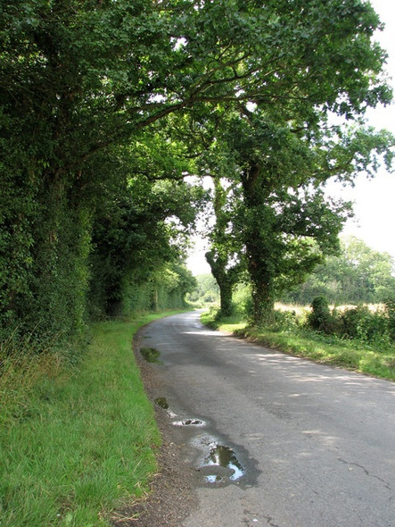 Photo 6"x4" View west along St Thomas Lane Ketteringham c2010
