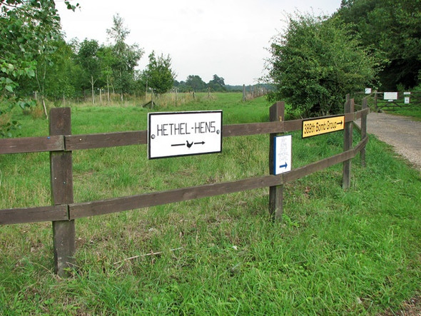 Photo 6"x4" Signs at the end of Potash Lane Ketteringham c2010