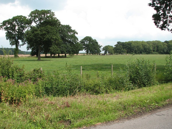 Photo 6"x4" Cattle pasture south of High Ash Farm, Ketteringham Ketteringham c2010