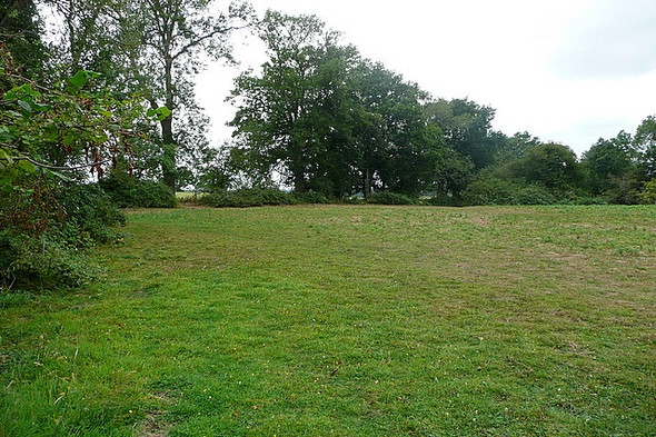 Photo 6"x4" Bridleway towards Lee Place Adversane c2010