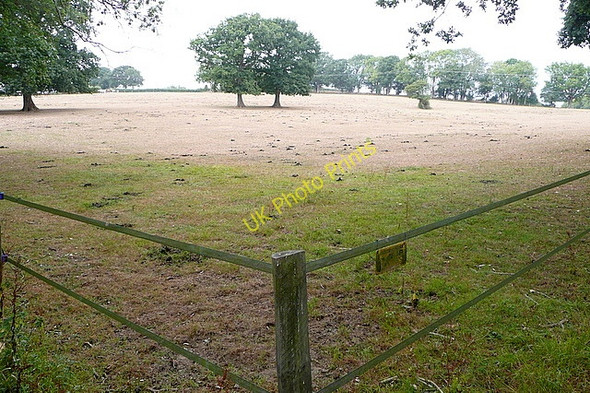 Photo 6"x4" Near Toat Codmore Hill c2010