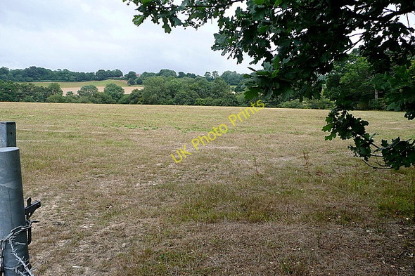 Photo 6"x4" Farmland at Codmore Hill Codmore Hill c2010