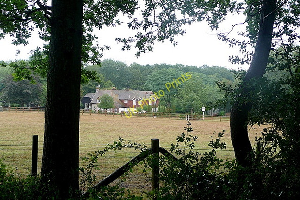 Photo 6"x4" Towards Horse Bridge Bedham c2010