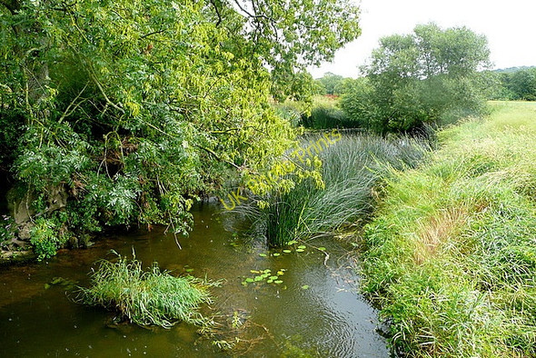 Photo 6"x4" River Arun Strood Green\/TQ0224 c2010 P1