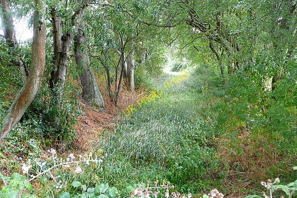 Photo 6"x4" Wey and Arun Canal Strood Green\/TQ0224 c2010