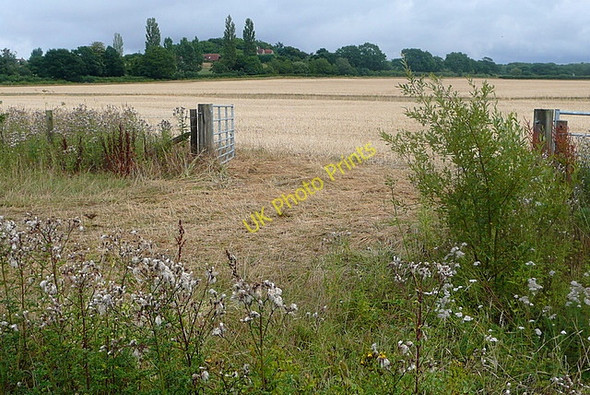 Photo 6"x4" Towards Lee Place Strood Green\/TQ0224 c2010