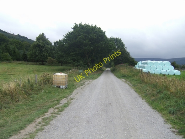 Photo 6"x4" Forestry Road at Bank Foot Battersby c2010
